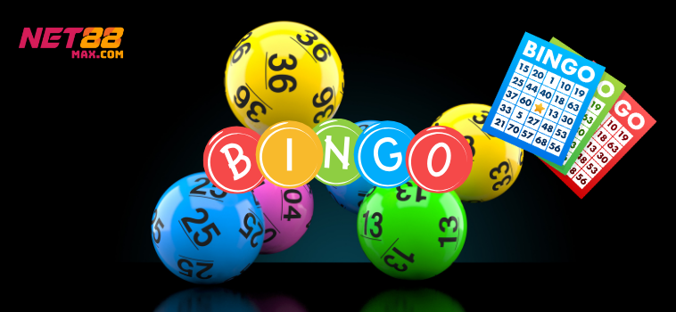 bingo net88